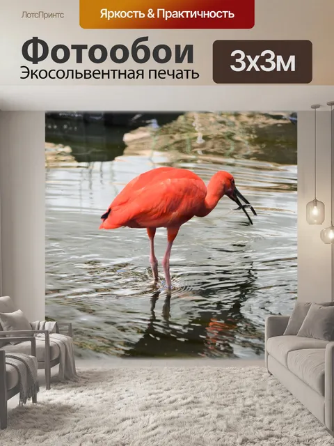 Фотообои Красный ибис 02