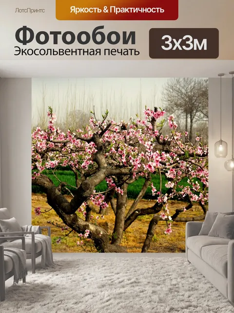 Фотообои Цветущее персиковое дерево