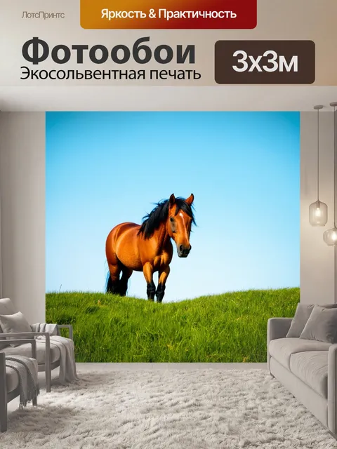 Фотообои пони на зеленом холме, смотрящем в далекое будущее