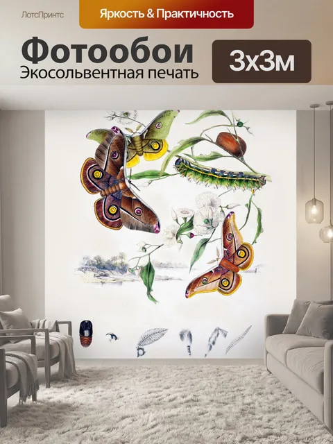 Фотообои Гуляки бабочки искусство