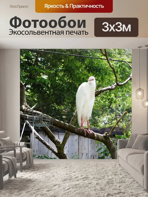 Фотообои KC зоопарк Птицы х