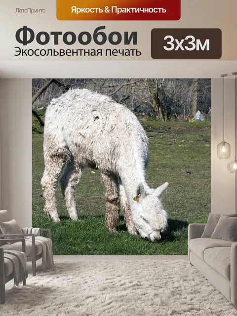 Фотообои Альпака