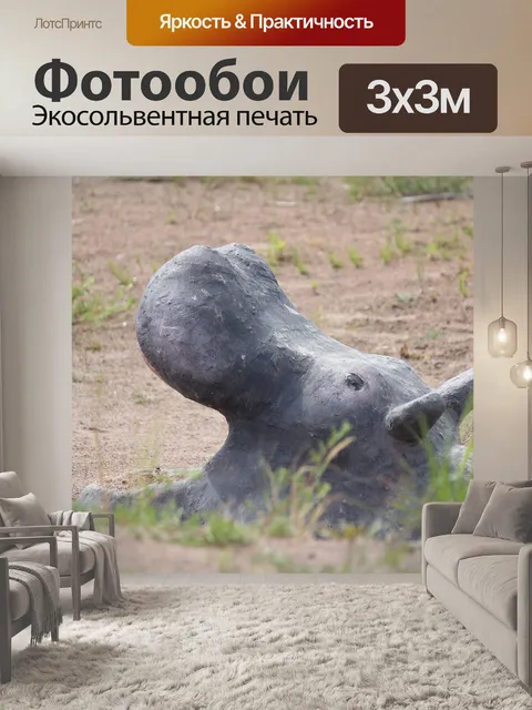 Фотообои Бегемот