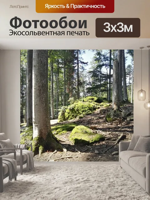 Фотообои Лес