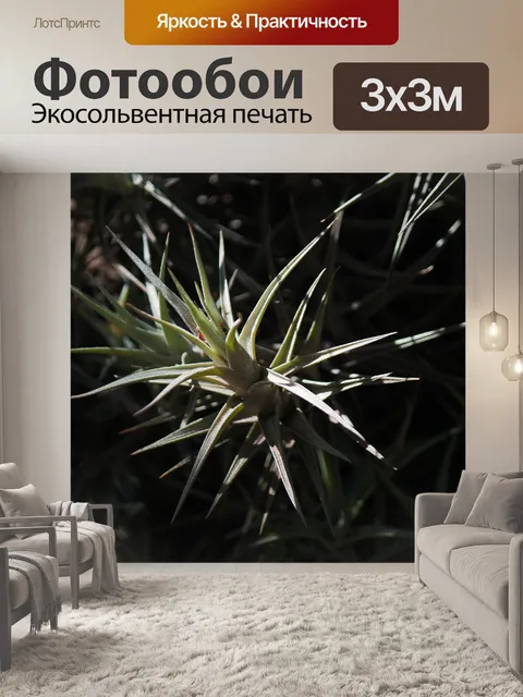 Фотообои солнечный свет на листьях кластера