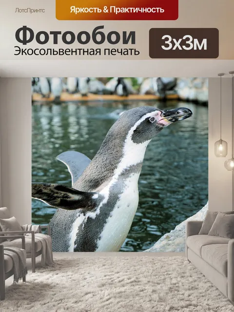 Фотообои Пингвин