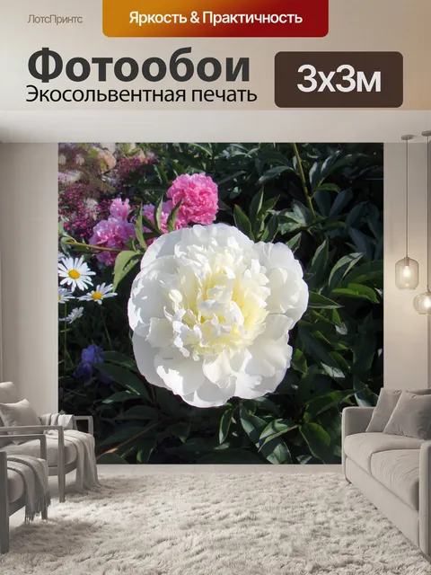 Фотообои Пион