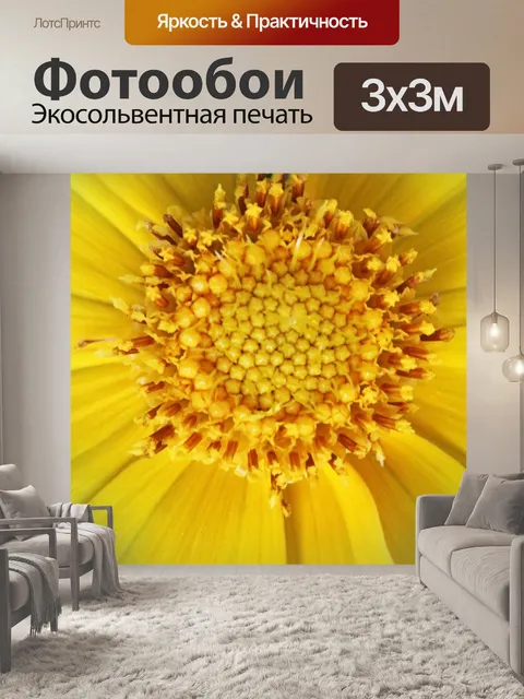 Фотообои Крупным планом вид ярко-желтой ромашки