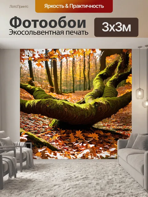 Фотообои уникальное скрученное дерево сплетается с окружающим его мхом, как будто они вели танец со временем