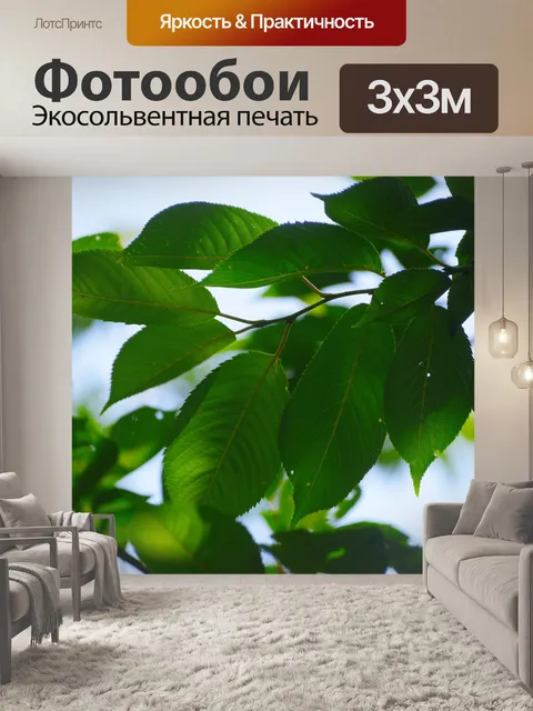 Фотообои Вишневое дерево
