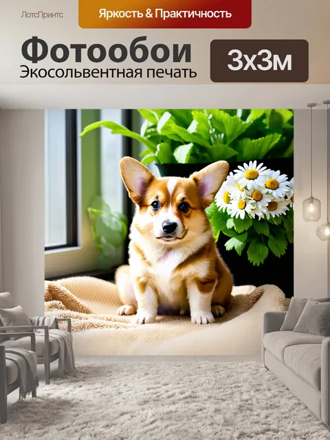 Фотообои Щенок корги, сидящий на бежевом одеяле, рядом с букетом белых ромашек, в солнечной комнате с окном, за…