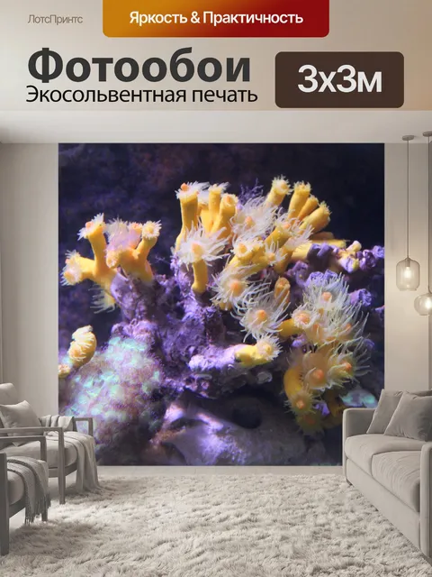 Фотообои Морское дно