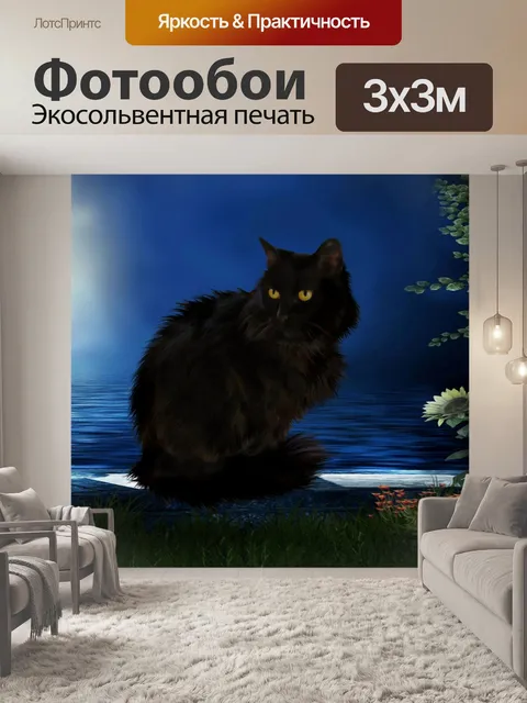 Фотообои Черный кот
