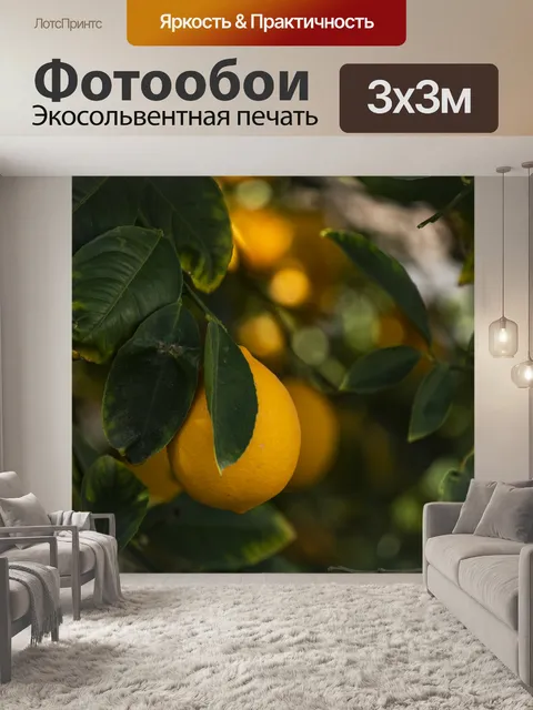Фотообои Фрукты лимонного дерева