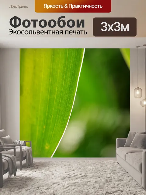 Фотообои Зеленый лист