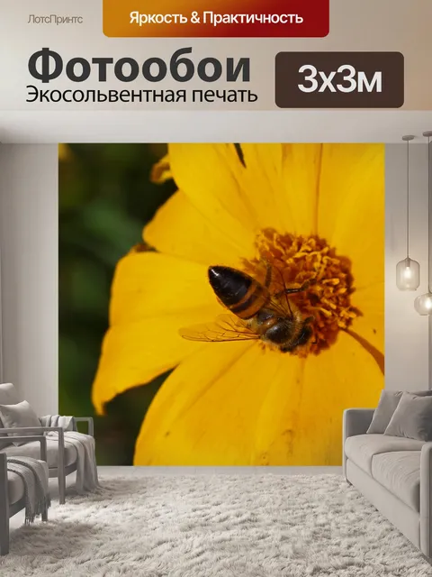 Фотообои медоносная пчела на желтой маргаритке