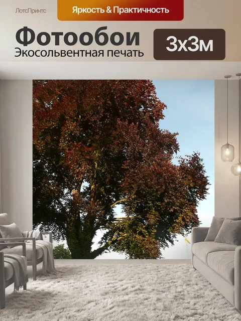 Фотообои Кровавый бук