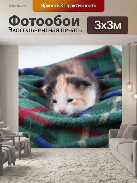 Фотообои Красивая кошка