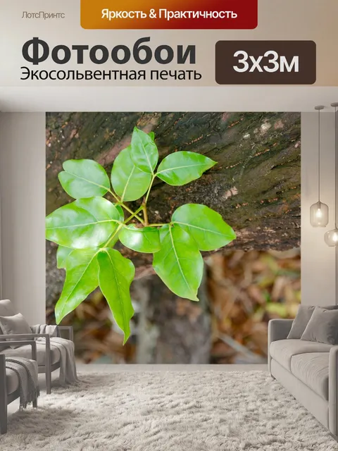 Фотообои Листья