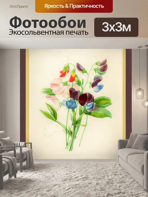 Фотообои Душистый горошек