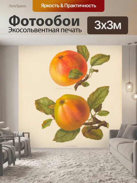 Фотообои Яблоки фрукты винтажные