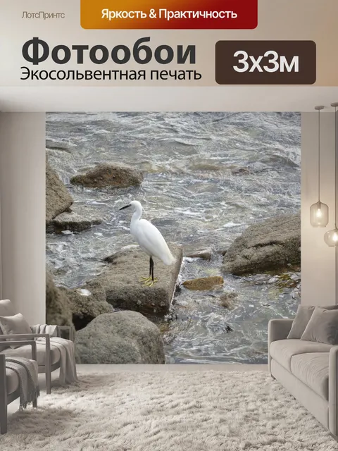 Фотообои Эгрет у моря