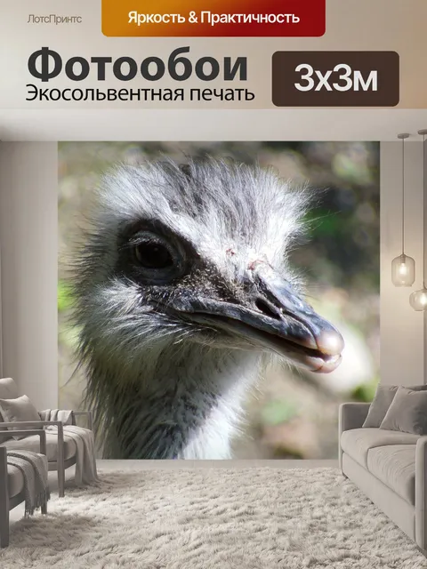 Фотообои Страус
