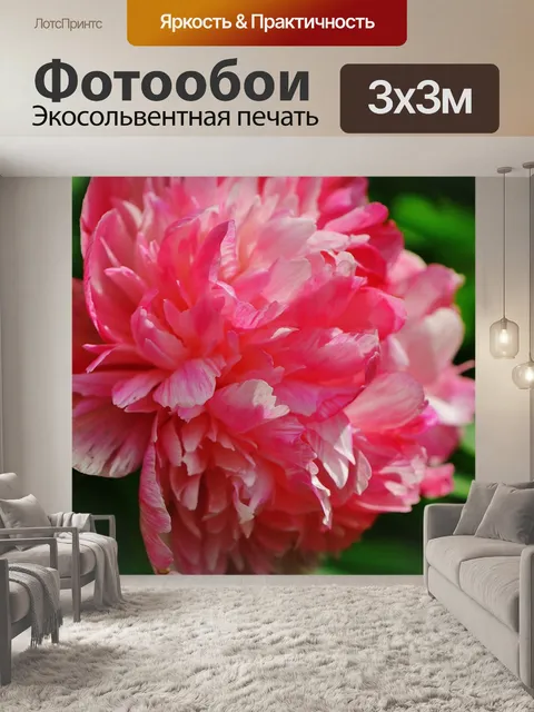 Фотообои Пион