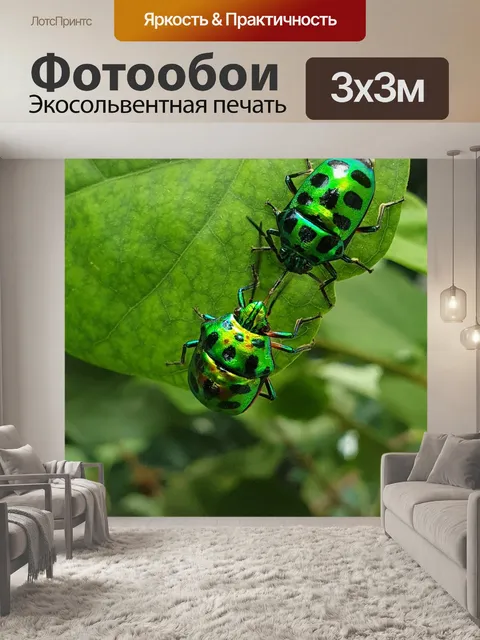 Фотообои Красота