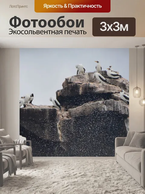 Фотообои Птицы