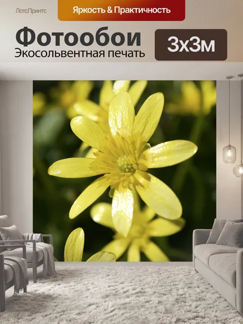Фотообои Желтый цветок