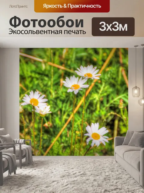 Фотообои маргаритка