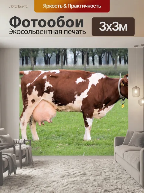 Фотообои Корова в поле 01