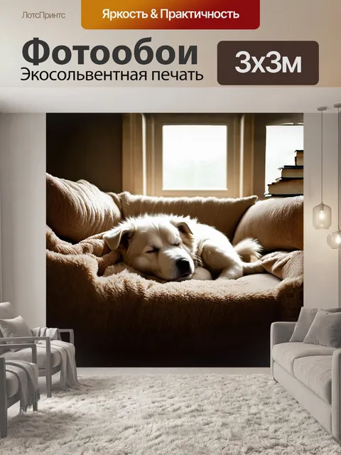 Фотообои самоед щенок мирно спит на мягком диване, укрытый пледом