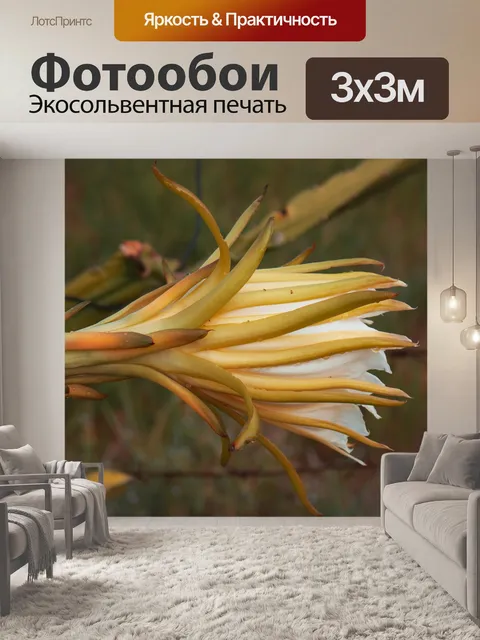 Фотообои Фрукты