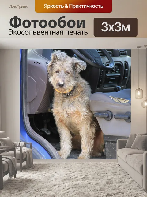 Фотообои Собака