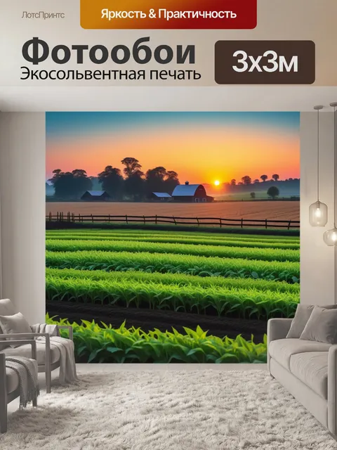 Фотообои спокойное утро на ферме с восходящим солнцем