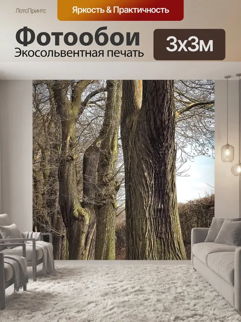 Фотообои Деревья