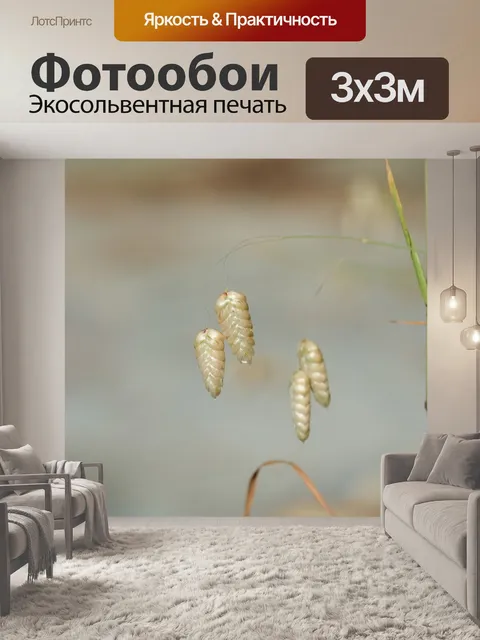 Фотообои Бриза максима