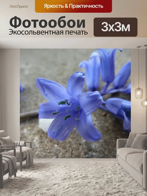 Фотообои Сине-фиолетовый