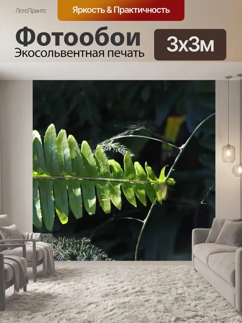 Фотообои солнечный свет на кончике листа папоротн