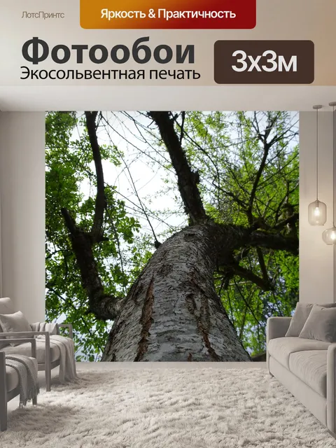 Фотообои Вид снизу дерева