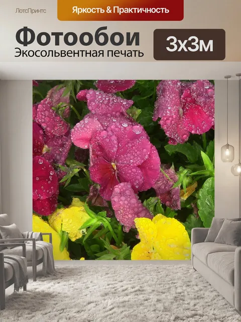 Фотообои розовый и желтый росы поцеловал цветы