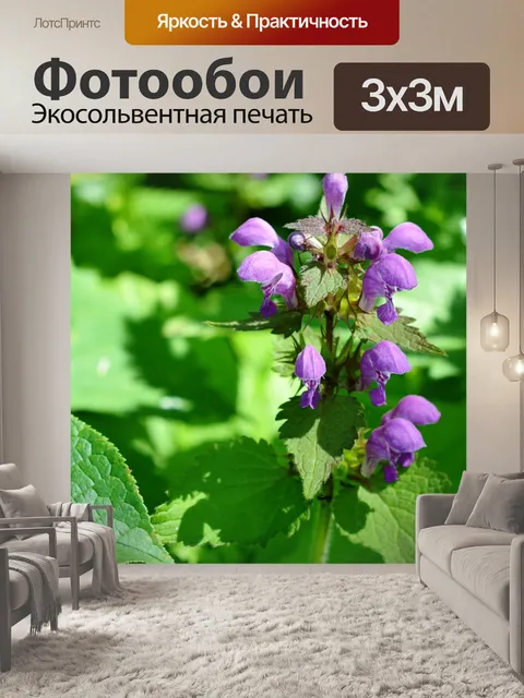 Фотообои Светло-розовый