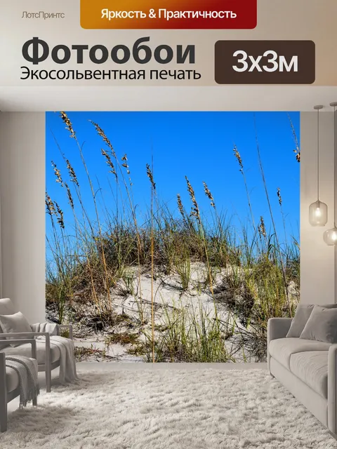 Фотообои Морские овсы на пляже