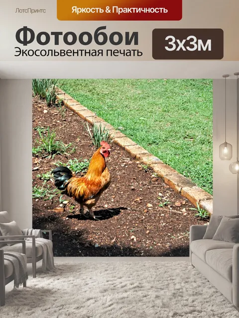 Фотообои петух в саду