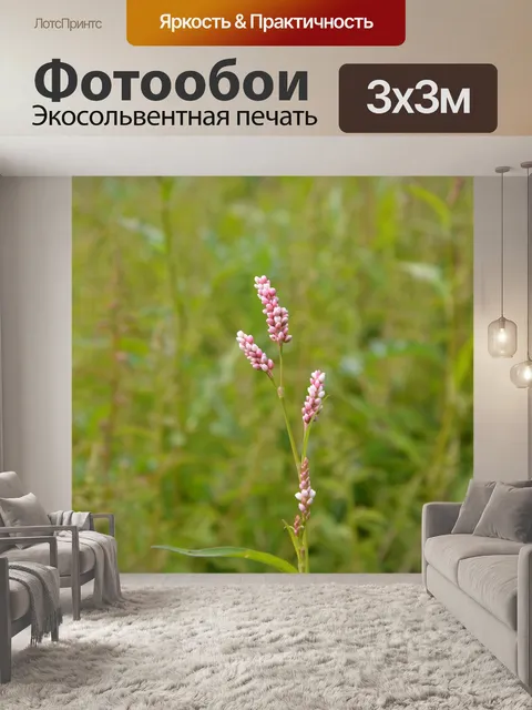 Фотообои Розовые цветы