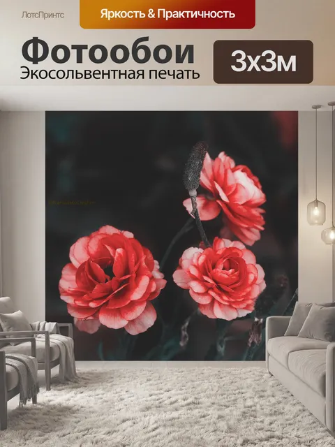 Фотообои Красные розы