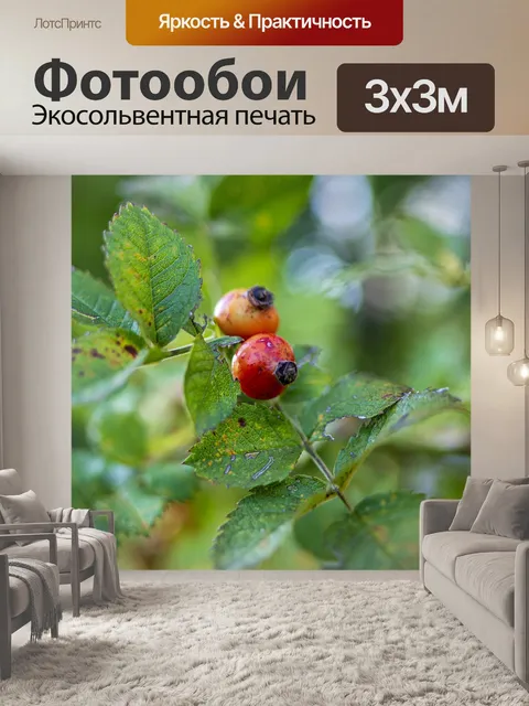 Фотообои Природа