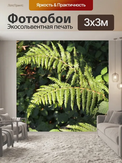 Фотообои Папоротник